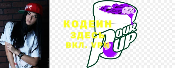 дживик Пестово