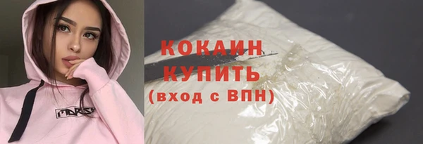 дживик Пестово