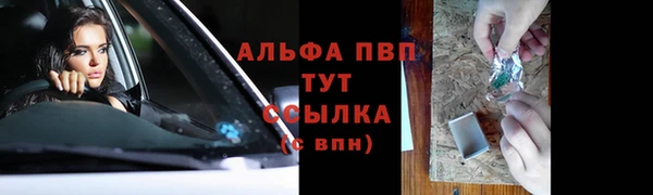 дживик Пестово
