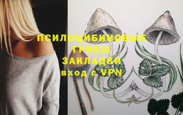 прущая мука Переславль-Залесский