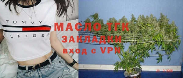 МДПВ Пересвет