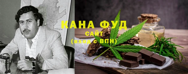МДПВ Пересвет