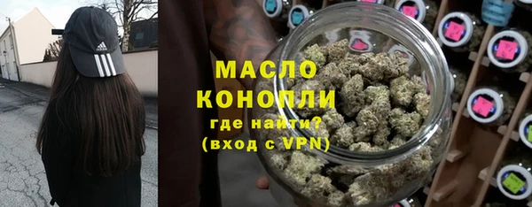 МДПВ Пересвет